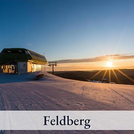 Seelenruhe Falkau 1 Lejlighed Feldberg (Baden-Wurttemberg)